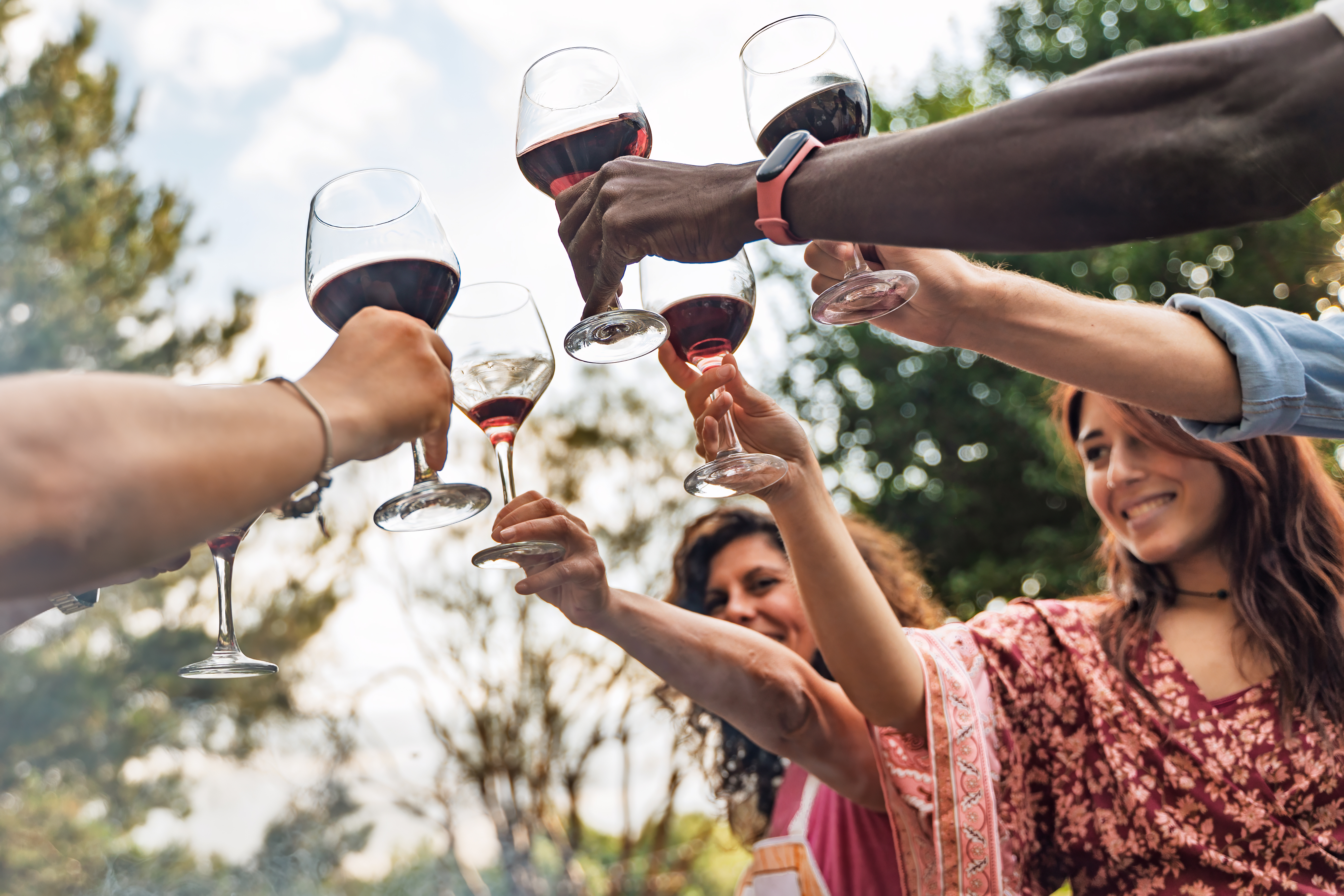 Group toasting at outdoor barbecue